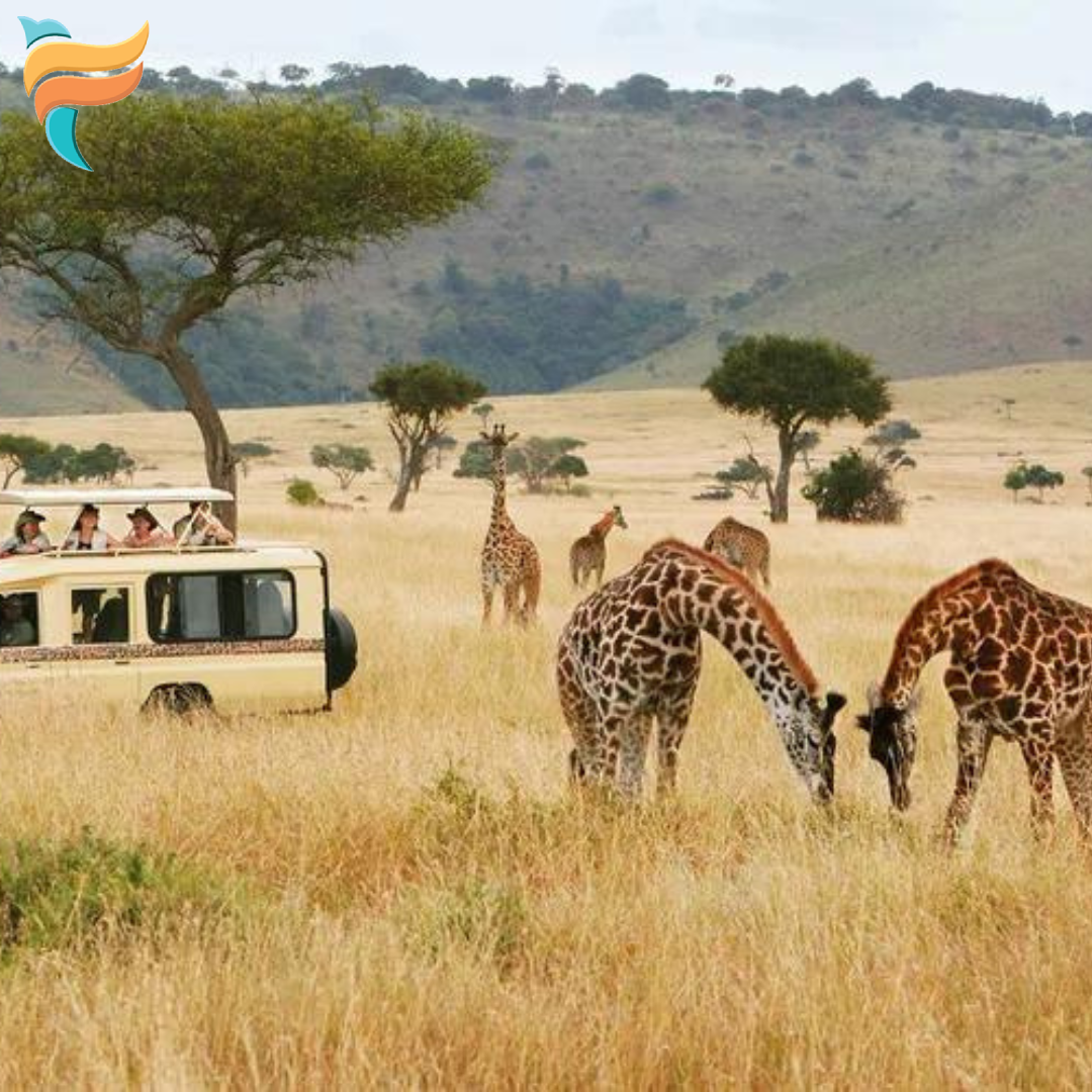 Kenya Package 4 Night 5 Days