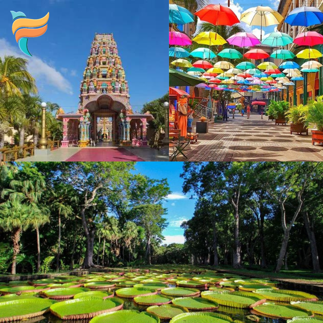 Mauritius Package 5 Night 6 Days