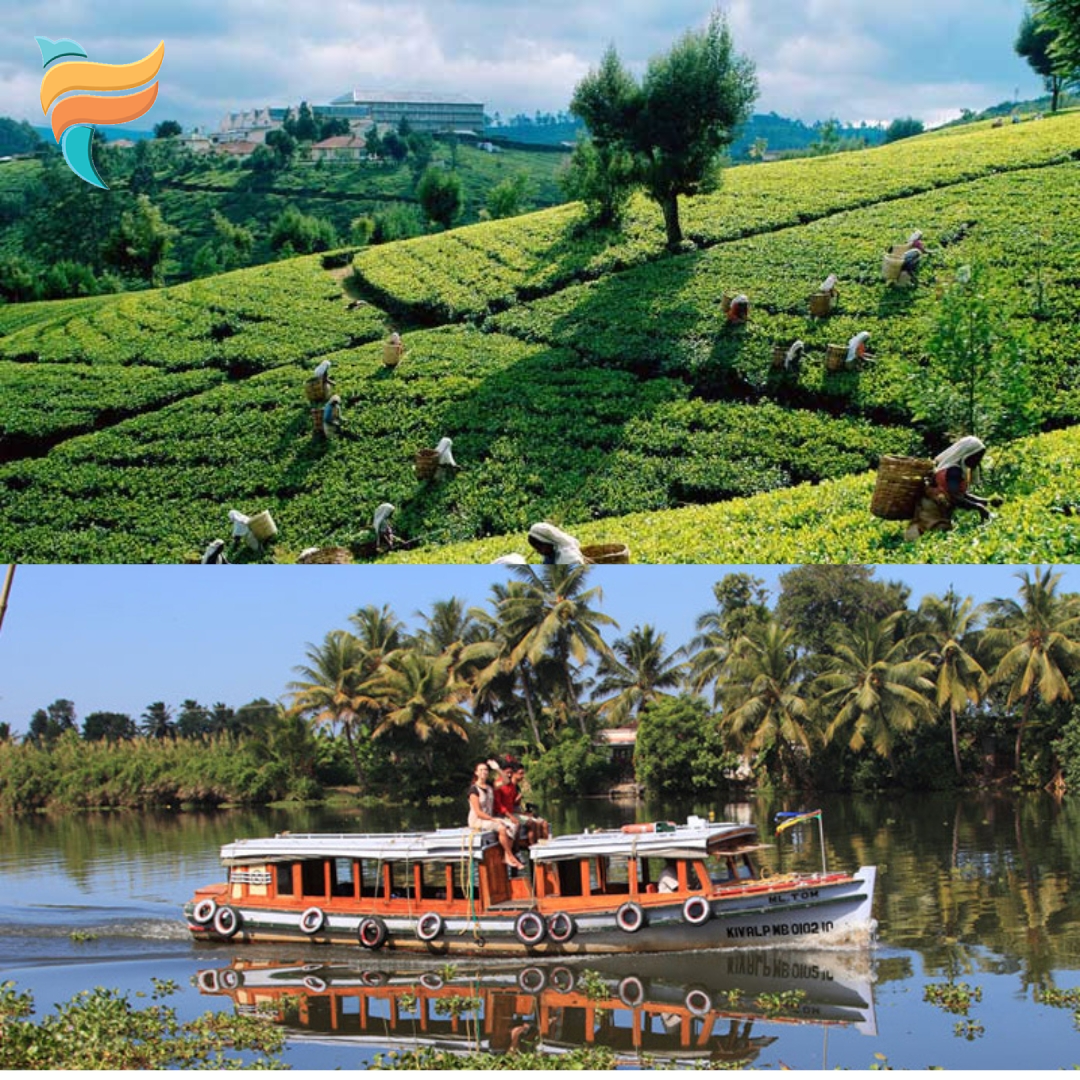 Kerala Package 5 Night 6 Days